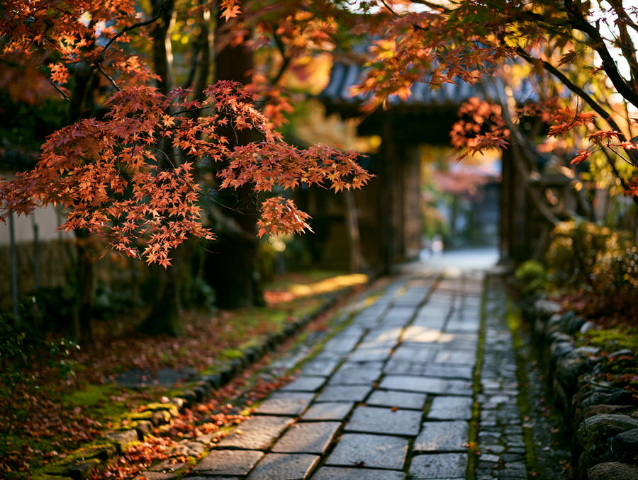 Autumn leaves along a quiet temple path in Japan